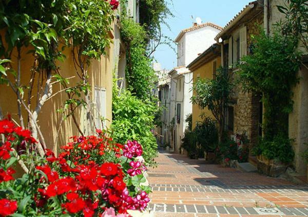 Appartement vieil Antibes Buitenkant foto